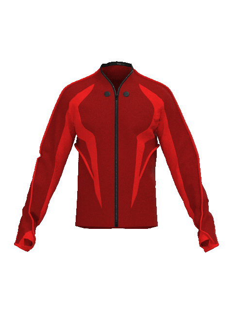Metallic Windbreaker Jacket